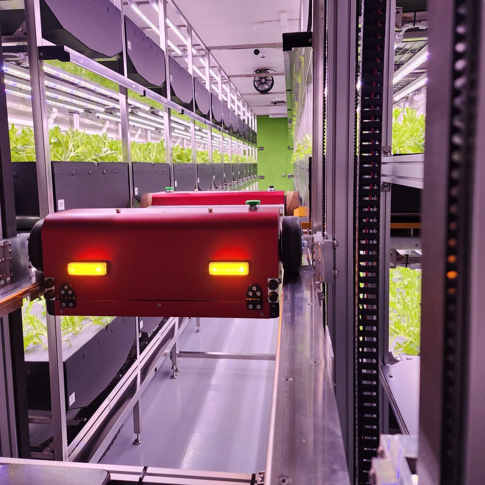 Precise observation · botanical material R&D